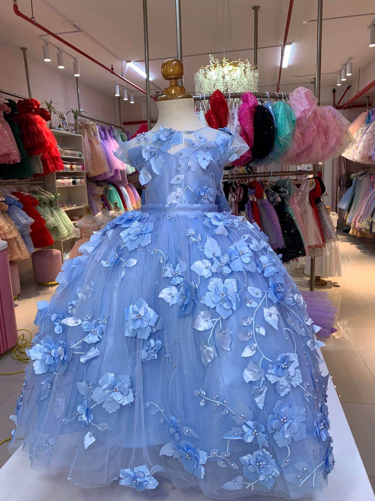 Reina — Reina Celeste T10