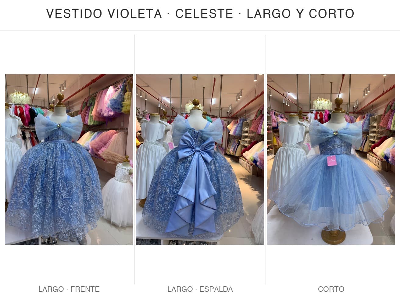 Violeta — Violeta Celeste T6